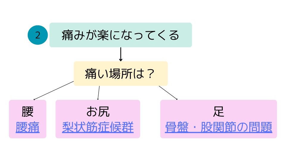 坐骨神経痛のフローチャート