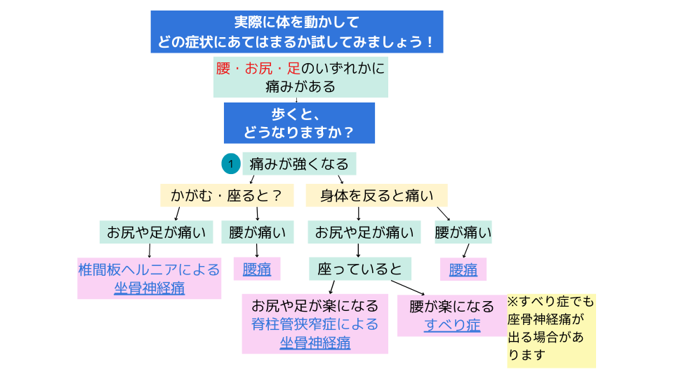 坐骨神経痛のフローチャート
